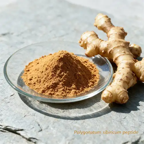 How Does Polygonatum sibiricum peptide Support Wellness?